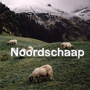 noordschaap.nl